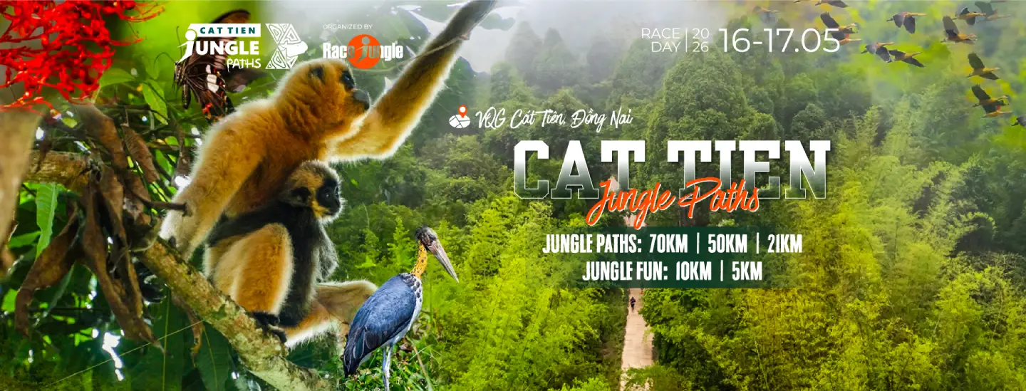 CAT TIEN JUNGLE PATHS 2026